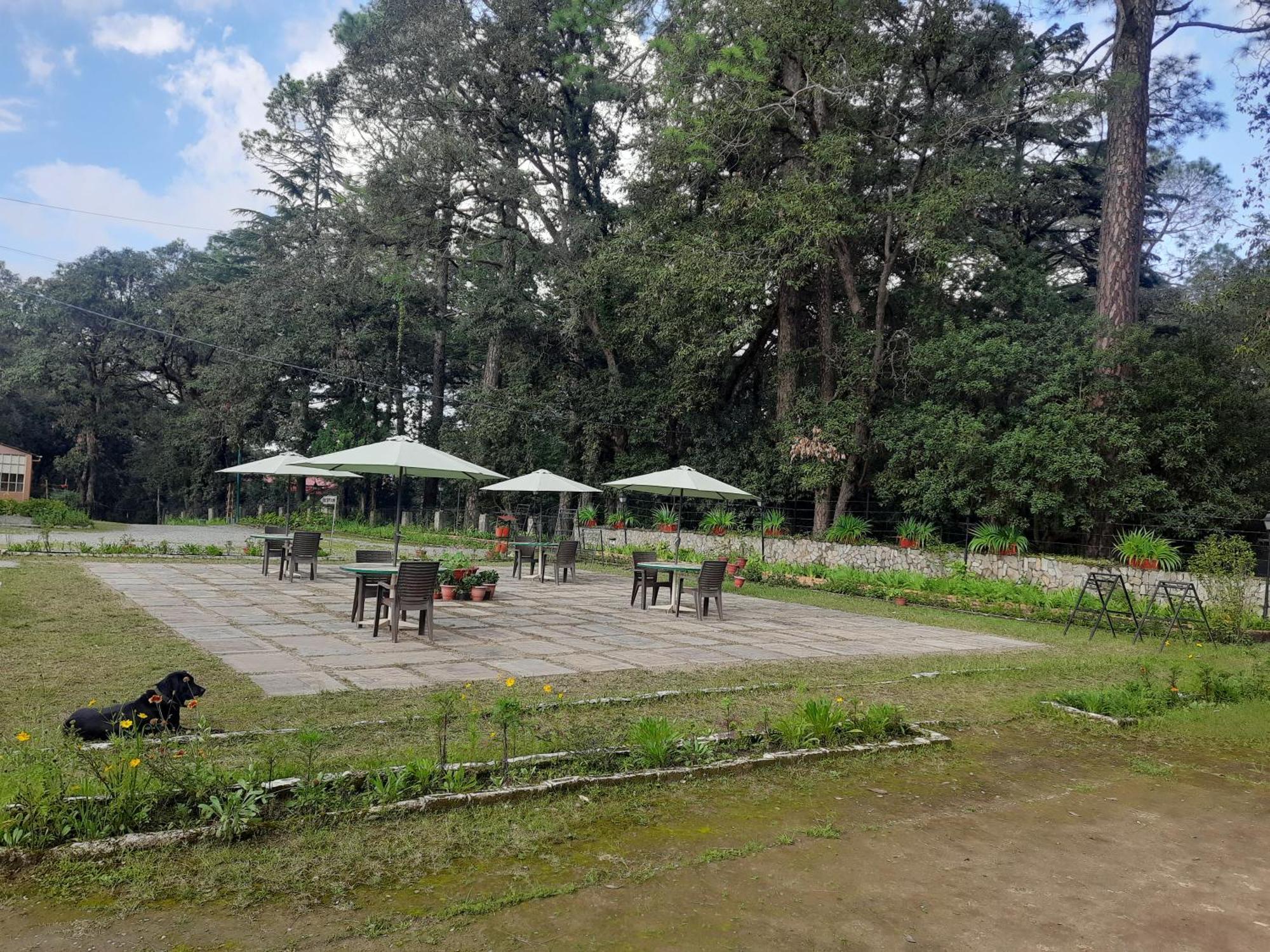 West View Hotel Ranikhet Ngoại thất bức ảnh